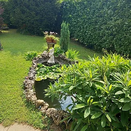 Bed & Breakfast Il Laghetto Torre Canavese